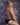 Good Devil GDI031 Supportive Ring Waistband Bikini - Erogenos