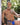 Good Devil GDK061 Mesh Waistband Thong - Erogenos