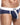 Hung HGJ009 Race Brief - Erogenos