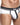 Hung HGJ009 Race Brief - Erogenos