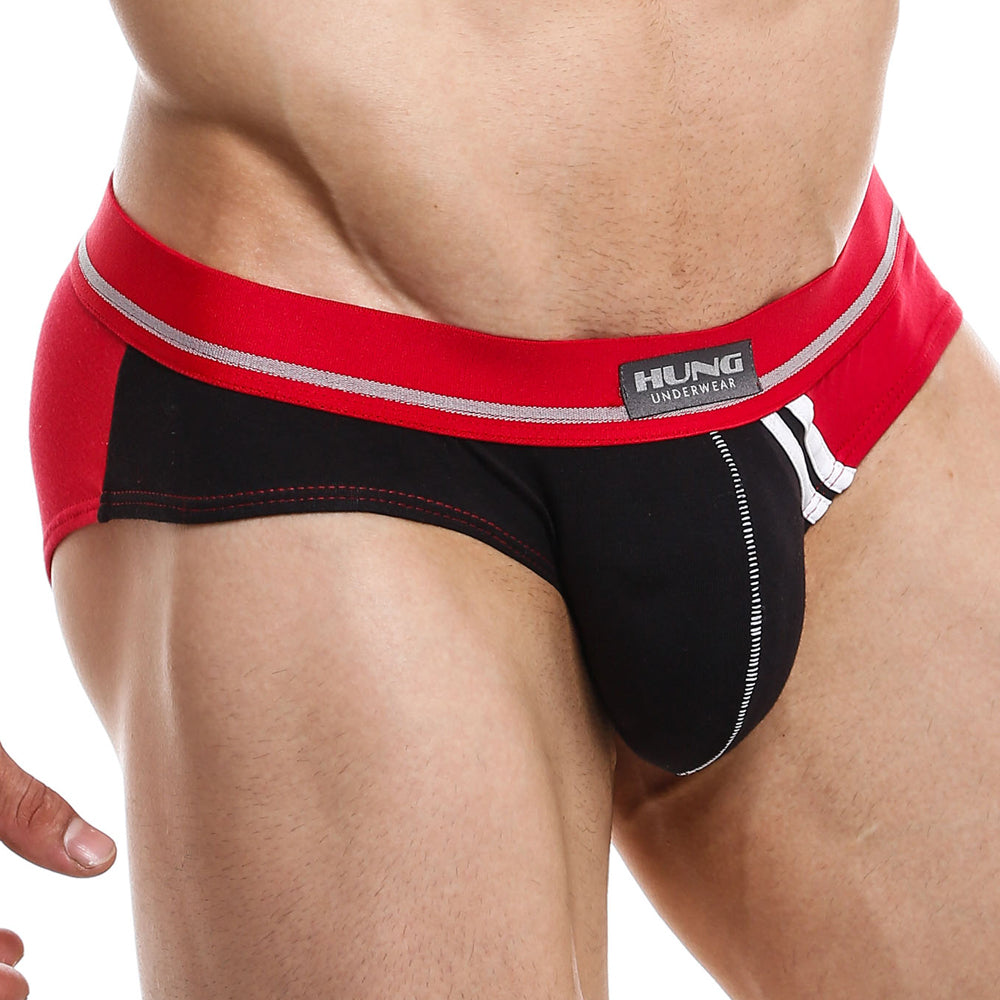 Hung HGJ010 Brief - Erogenos