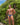 Hung HGJ021 Half Naked Brief - Erogenos