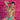 Kyle KLE008 Almost Naked Jockstraps - Erogenos