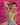 Kyle KLE008 Almost Naked Jockstraps - Erogenos