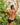Kyle KLI041 Bulge Pouch Bikini - Erogenos