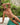 Kyle KLI042 Sides Metal Ring Bikini - Erogenos