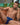 Pistol Pete PPJ030 Covered Back Briefs - Erogenos