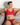 Secret Male SMA018 Lacey Crop Top - Erogenos