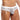 Secret Male SMI024 Floral Bikini - Erogenos