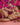 Secret Male SMI043 The Oracle Bikini - Erogenos