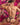 Secret Male SMK013 The Prophecy Thong - Erogenos